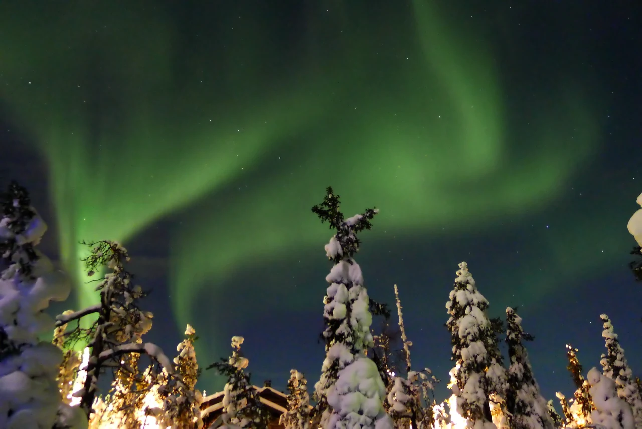 The aurora borealis over snow-covered trees in Finland